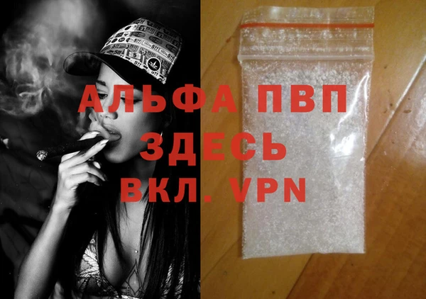 СК Алексин