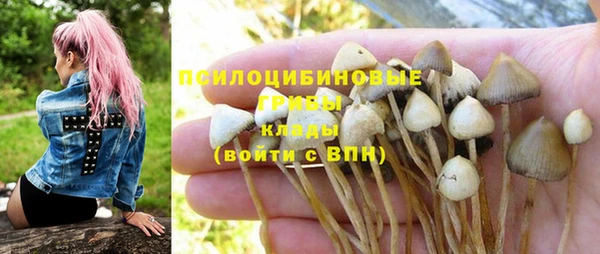 СК Алексин