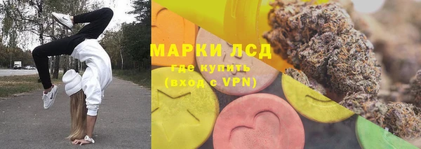 СК Алексин